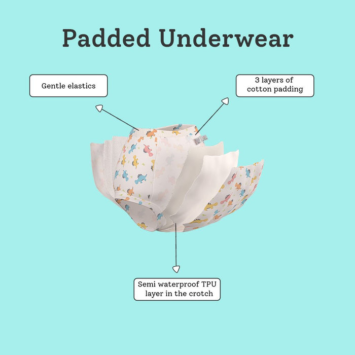 Semi-Waterproof, Padded Underwear - Pack of 12