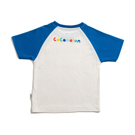 The JJ & Friends Combo