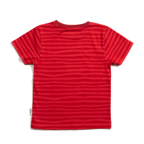 The JJ & Friends Combo