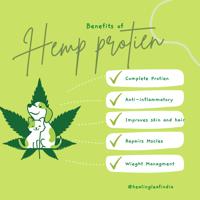 Healthy Hemp Protein for pets