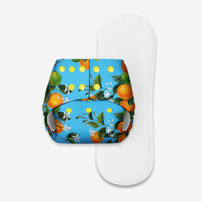 Cloth Diapers for Babies - Peaches Print