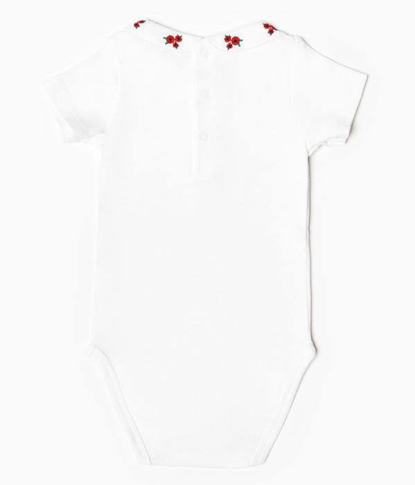 Organic Cotton Onesies for Babies