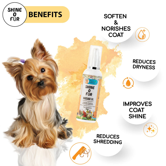 Natural massage oil for dogs 