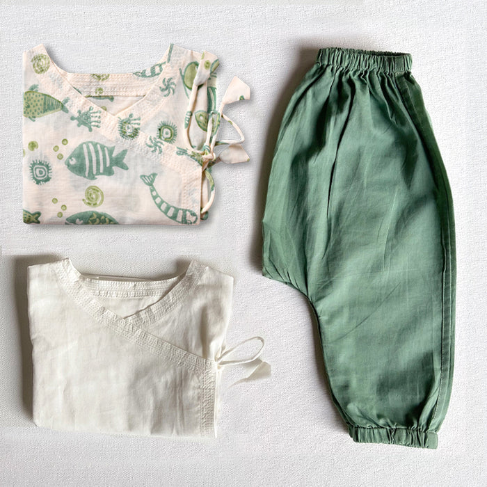 Organic Cotton Printed Angrakhas and Mint Pant Set